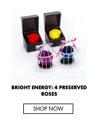 Bright energy: 4 preserved roses