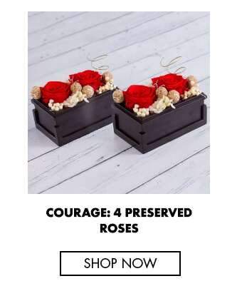 Courage: 4 preserved roses