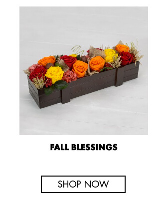 Fall blessings - preserved roses
