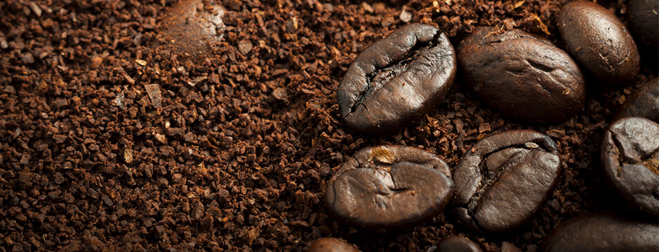 Gourmet coffee is generally made from 100% Arabica beans