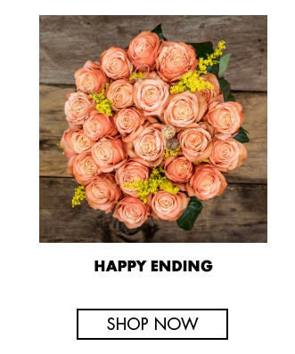 Happy ending - Ecuadorian roses