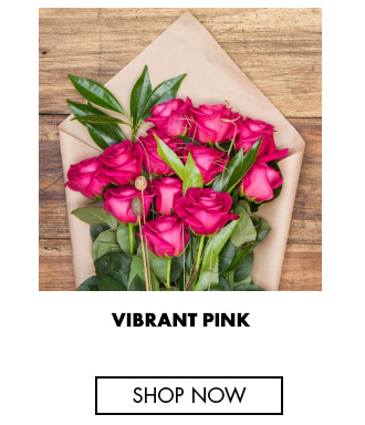 Vibrant pink - long stem roses