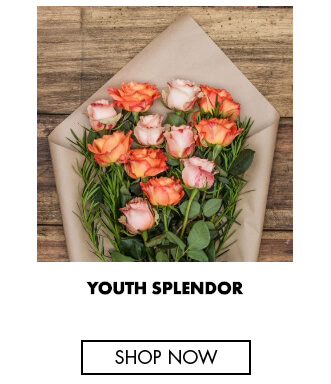 Youth splendor - long stem roses