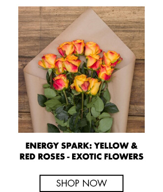 Energy Spark: Yellow & Red Roses - Fresh Roses