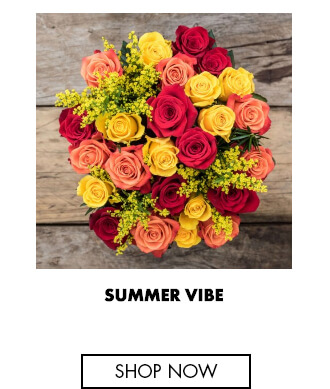 Summer Vibe - Fresh Roses