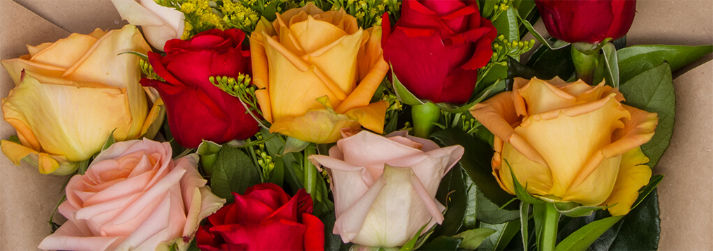 We have a huge selection of long stem roses