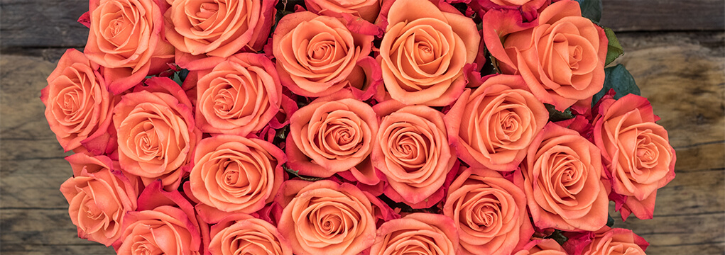 Long stem roses for every occasion