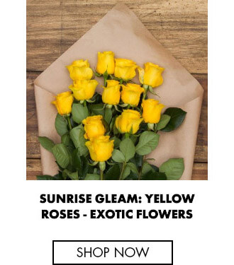 Sunrise Gleam: Yellow Roses - Long stem roses