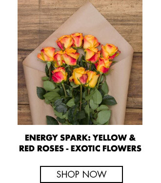 Energy Spark: Yellow & Red Roses - Long stem roses