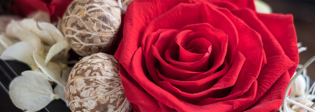 An arrangement of preserved roses to enjoy long lasting memories