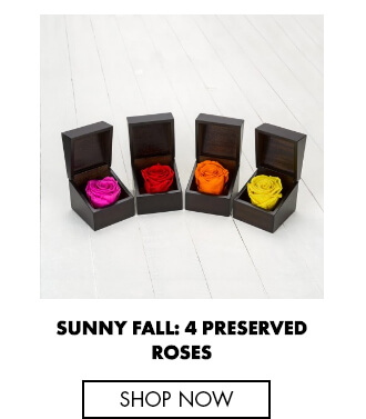 Sunny Fall: 4 preserved Roses