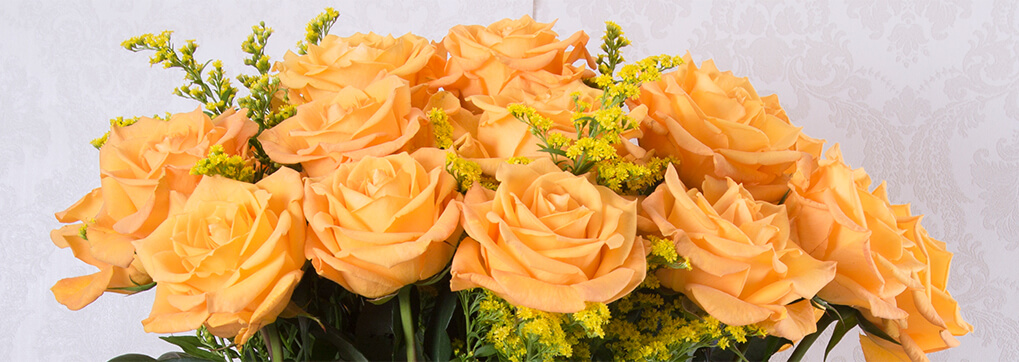 Fresh ecuadorian roses - Ecuadorian roses for romantic occasions