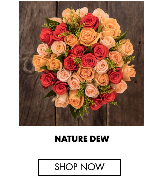 Nature dew - Ecuadorian roses for romantic occasions