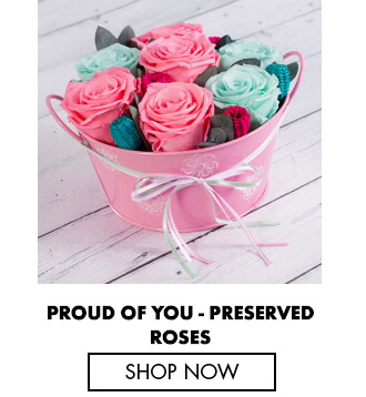 Rose colors and their meaning