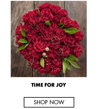 Time for joy - Ecuadorian roses for romantic occasions