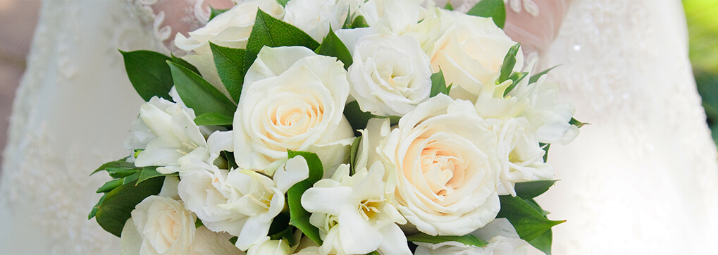 White roses - Rose colors and their meaning