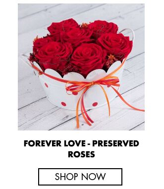 Forever love preserved roses - A brief history of roses