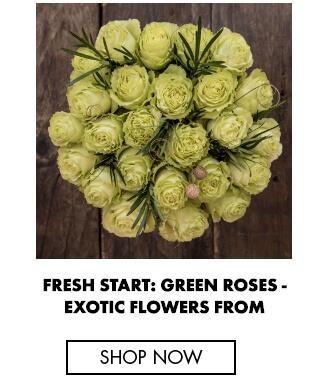 Fresh start green roses exotic flowers