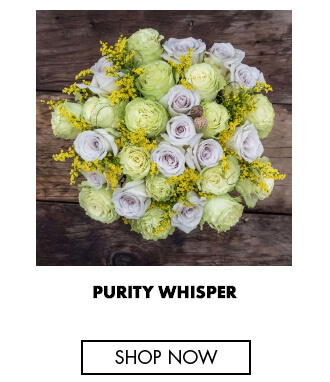 Purity whisper