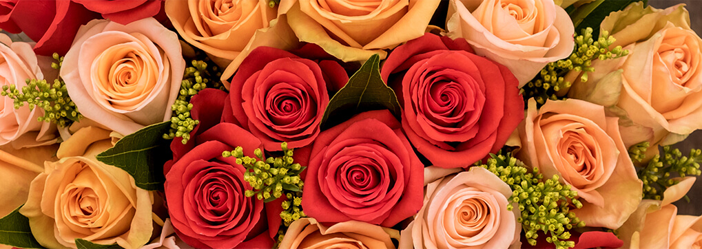 Ecuador is one of the world's largest suppliers of roses