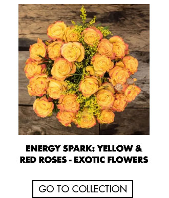 Energy Spark: Yellow & Red Roses