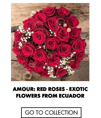 Amour: Red Roses