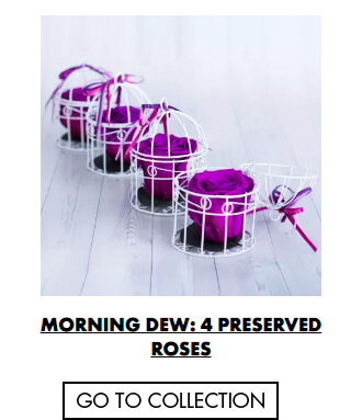 Morning Dew - Preserved Roses