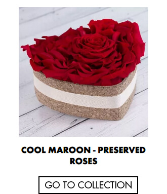 Cool Maroon - Preserved Roses