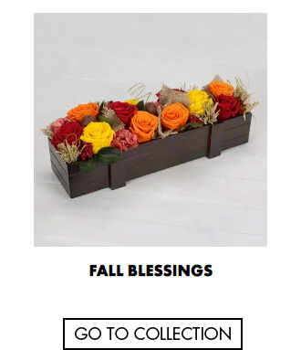 Fall Blessings