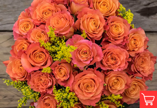 Tangerine orange roses meaning and occasions