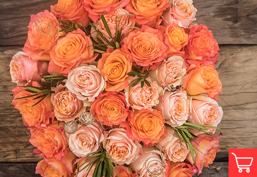 Tangerine orange roses meaning and occasions