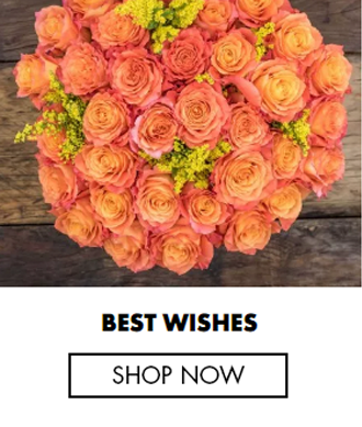Energy Spark: Yellow & Red Roses - Fresh Roses