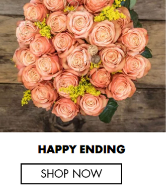 Blush: Pink Roses - Fresh Roses