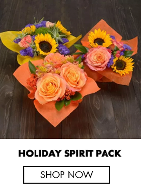Holiday Spirit Pack
