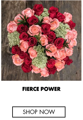 Fierce Power
