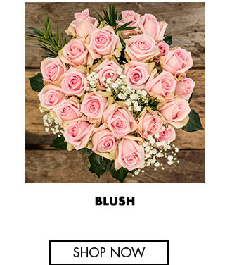 Blush