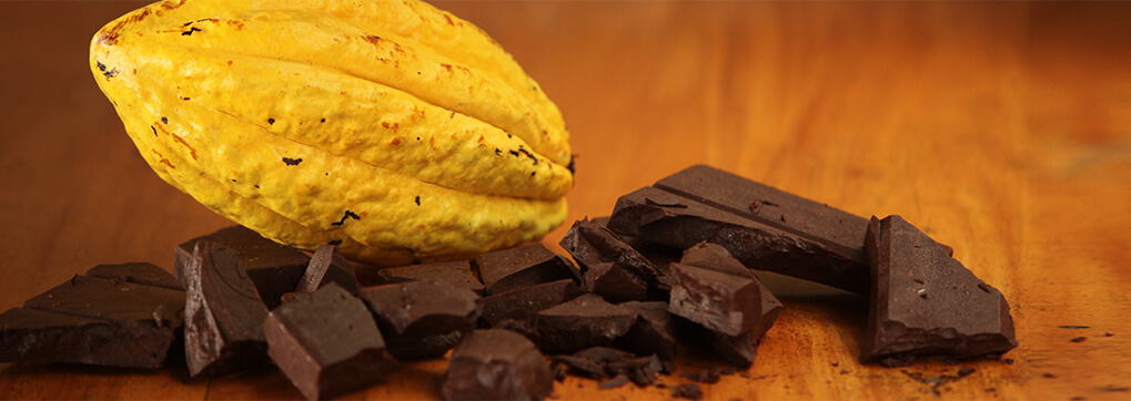 Hoja Verde’s Chocolate