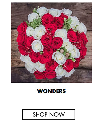 Wonders