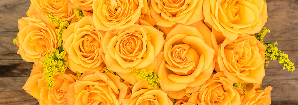 The power of giving roses