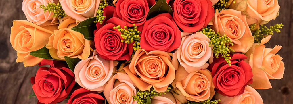 Roses and their meanings