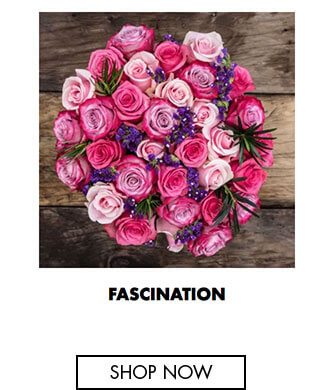 Fascination