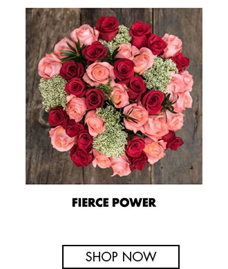 Fierce Power