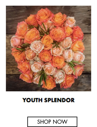 Youth Splendor