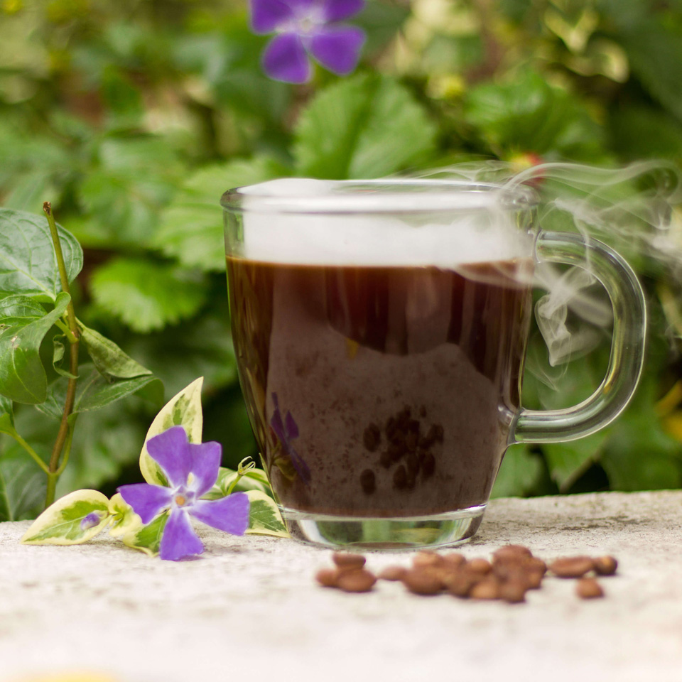 Gourmet Coffee Beans Uk How To Roast Gourmet Coffee Beans at Home