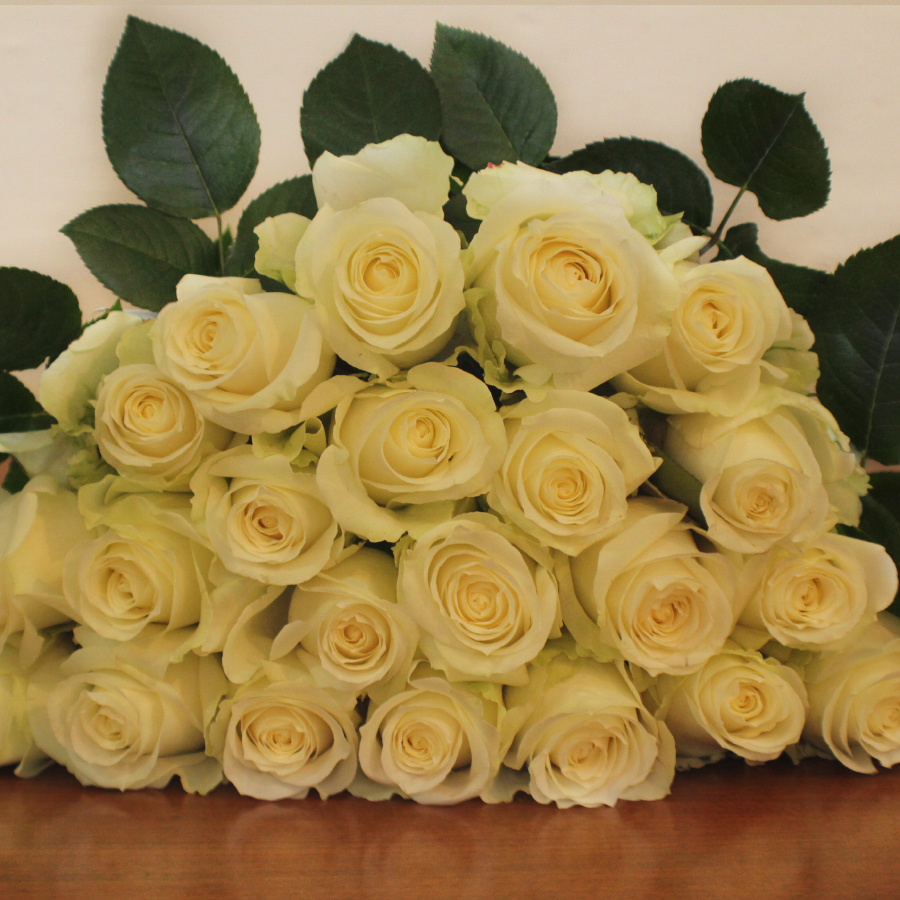 Avalanche Roses