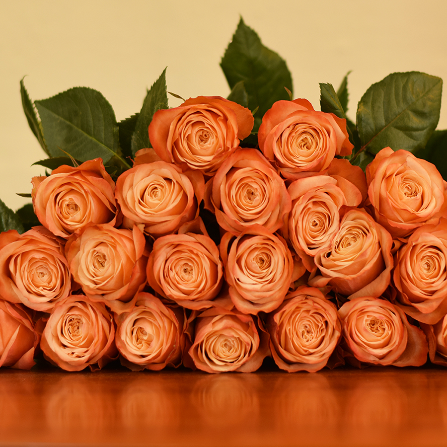 Kahala Roses