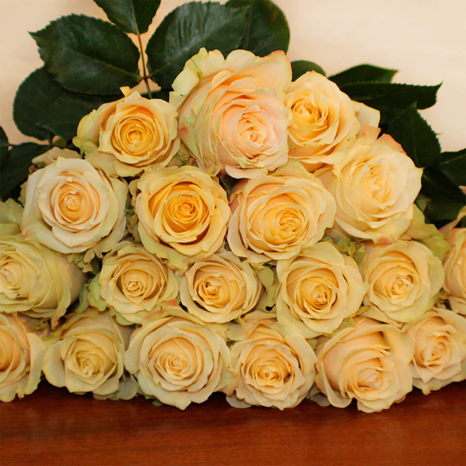 Amaretto Roses
