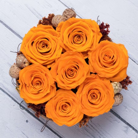 preserved roses from ecuador