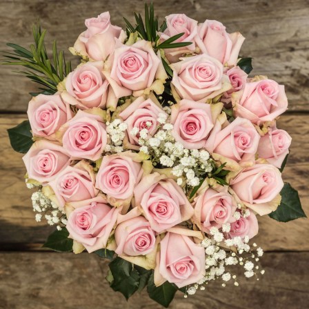 long stem roses from ecuador