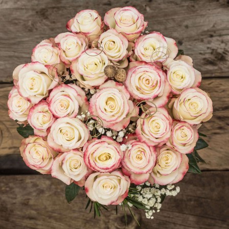 long stem roses from ecuador